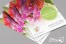 10000 Double Sided A5 Flyers